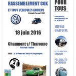 rassemblement-cox-et-tous-vehicules-anciens-avant-1987-2016-06-18.jpg