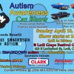 the-4th-annual-layin-the-smackdown-on-autism-car-show-2016-04-10.jpg